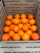 Navel & Cara Cara Citrus Box