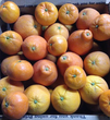 Mixes Citrus Box